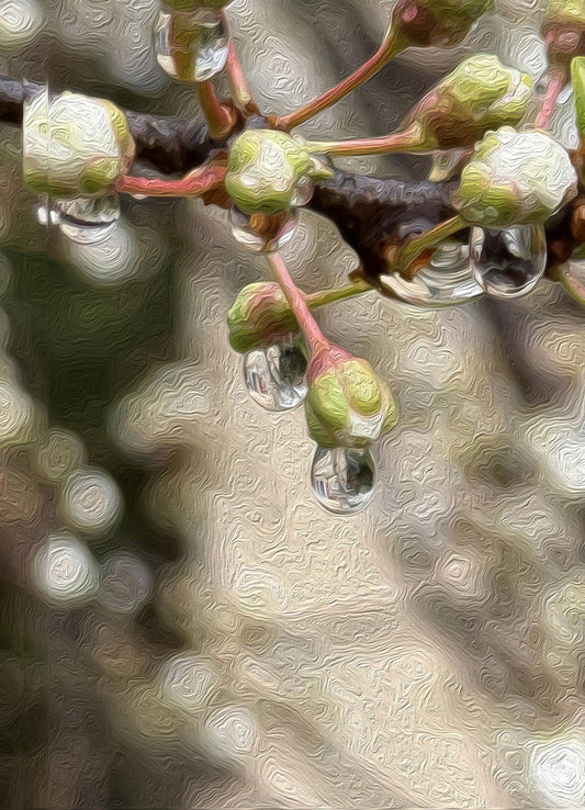 Digital Oil Painting - Superb Droplet V197
