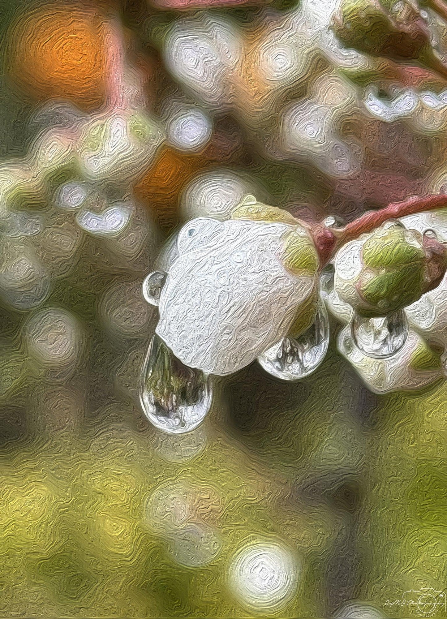 Digital Oil Painting - Superb Droplet V200