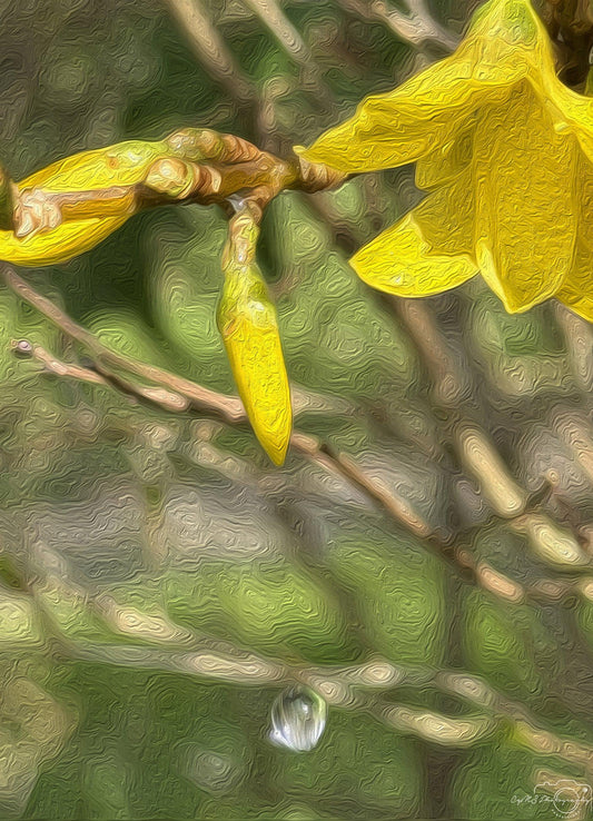Digital Oil Painting - Superb Droplet V203