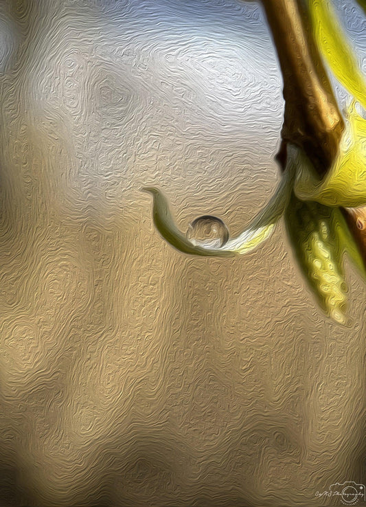 Digital Oil Painting - Superb Droplet V206
