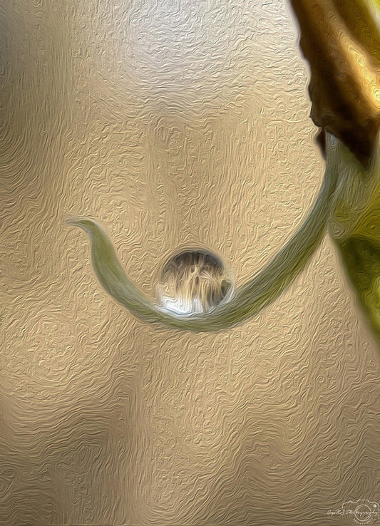 Digital Oil Painting - Superb Droplet V207