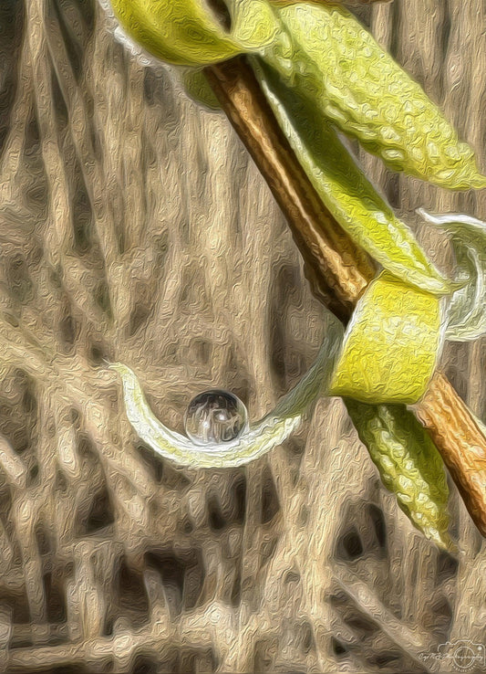 Digital Oil Painting - Superb Droplet V209
