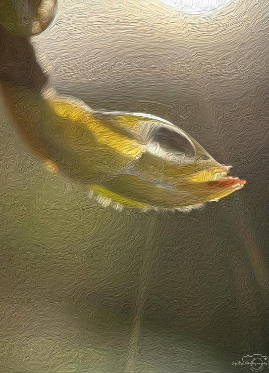 Digital Oil Painting - Superb Droplet V210