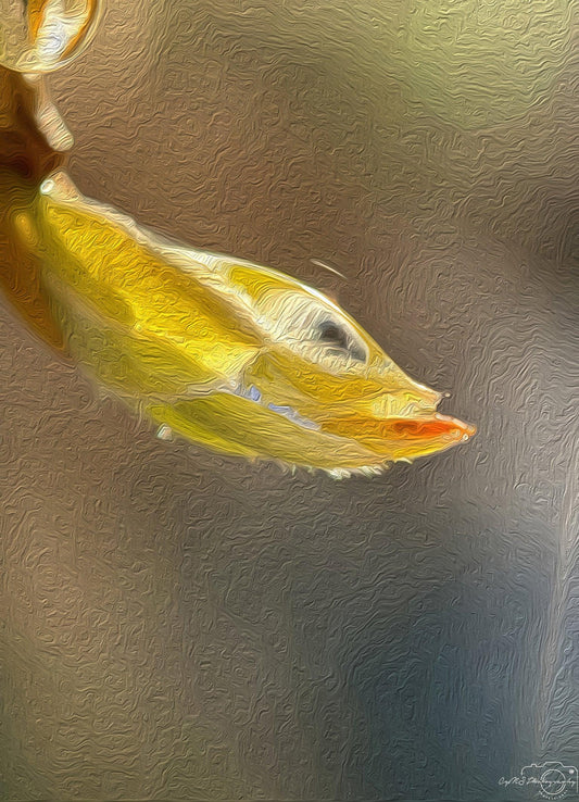 Digital Oil Painting - Superb Droplet V211