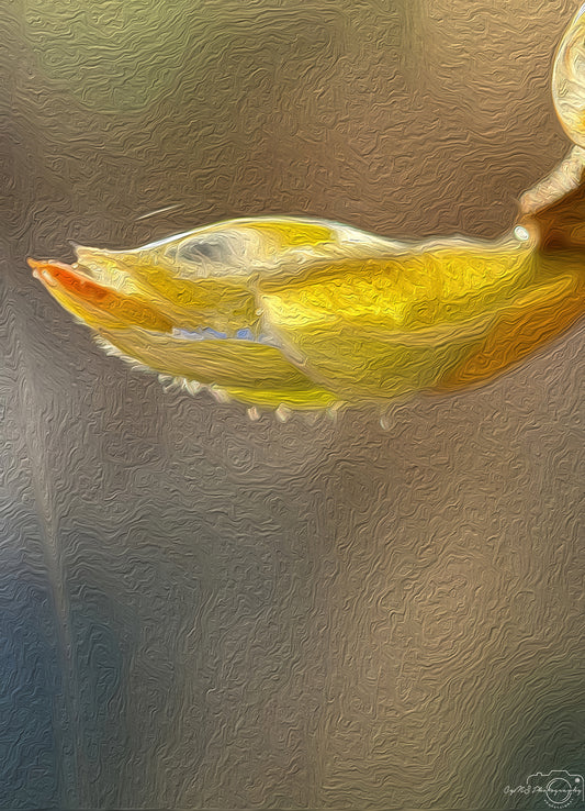 Digital Oil Painting - Superb Droplet V212
