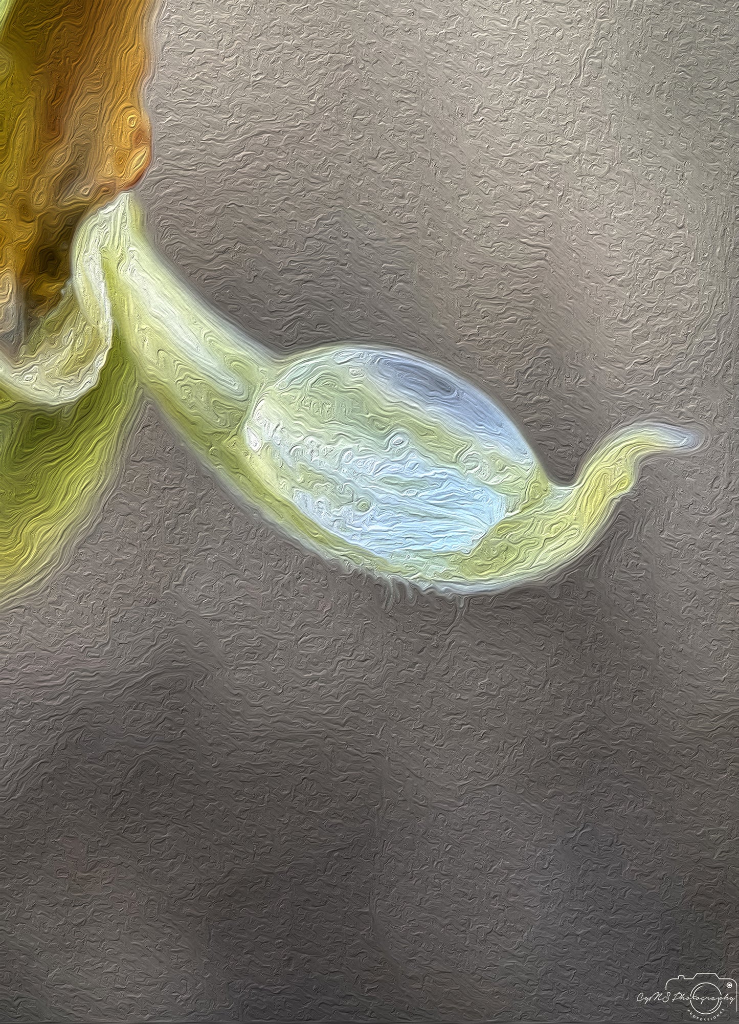 Beautiful water drop_V216_oil painting
