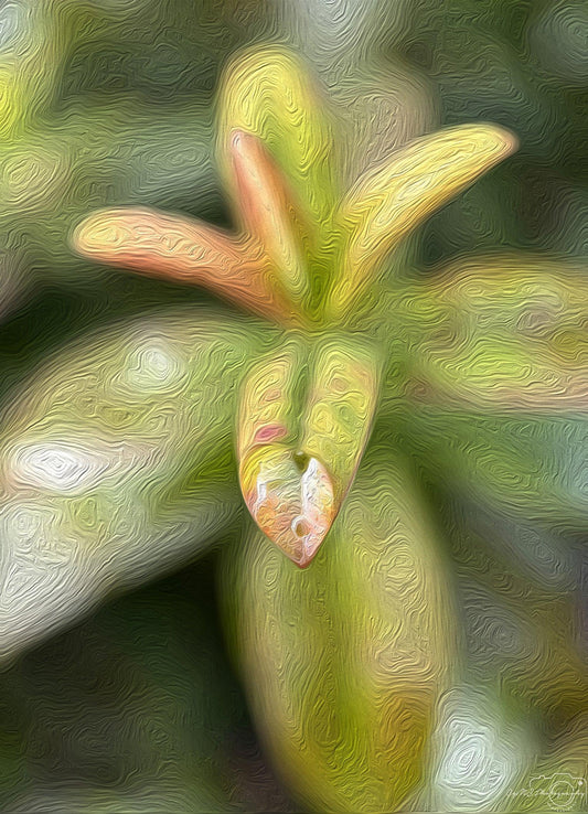 Digital Oil Painting - Superb Droplet V218