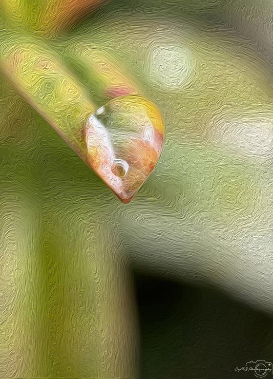 Digital Oil Painting - Superb Droplet V220