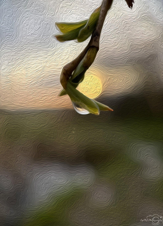 Digital Oil Painting - Superb Droplet V222