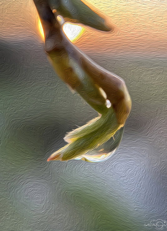 Digital Oil Painting - Superb Droplet V224