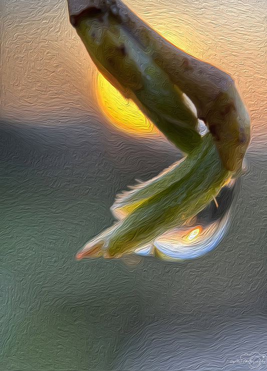 Digital Oil Painting - Superb Droplet V225