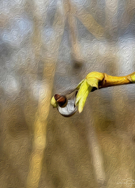 Digital Oil Painting - Superb Droplet V227