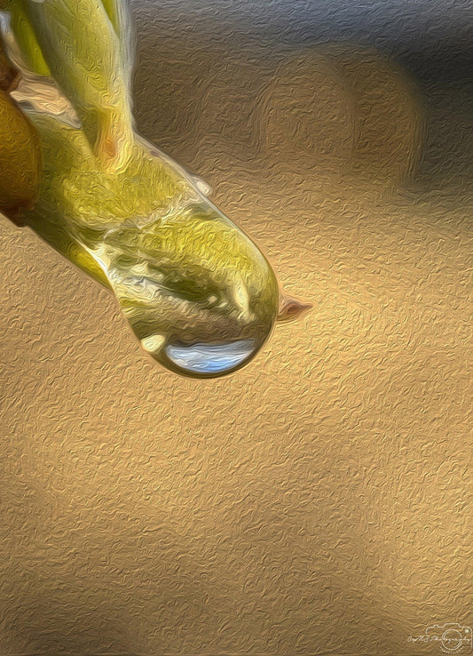 Digital Oil Painting - Superb Droplet V229