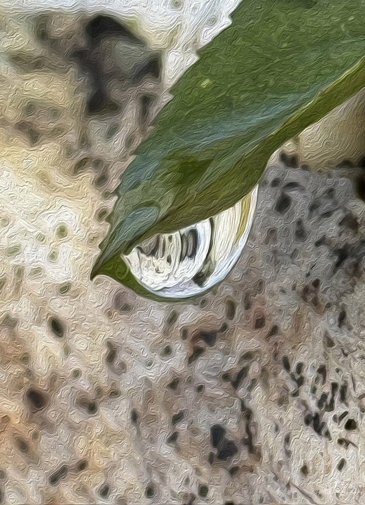 Digital Oil Painting - Superb Droplet V231