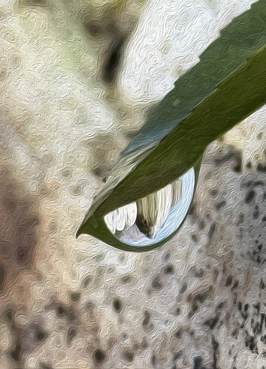 Digital Oil Painting - Superb Droplet V232