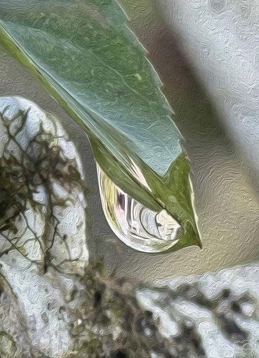 Digital Oil Painting - Superb Droplet V233