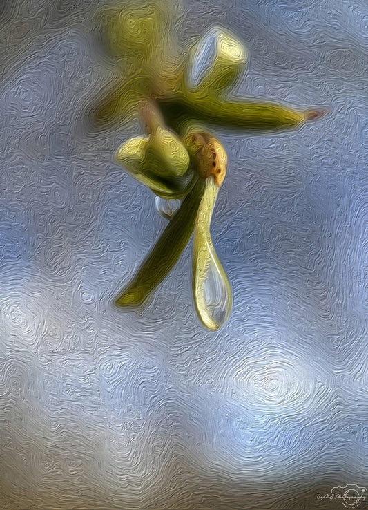 Digital Oil Painting - Superb Droplet V234