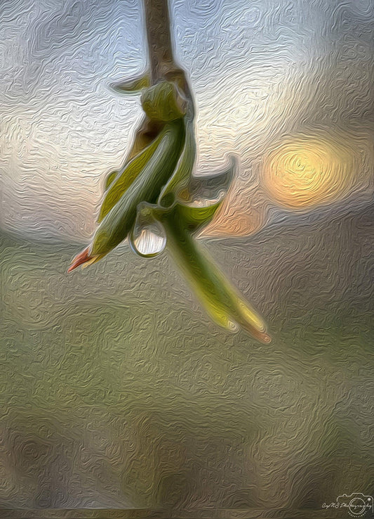 Digital Oil Painting - Superb Droplet V235