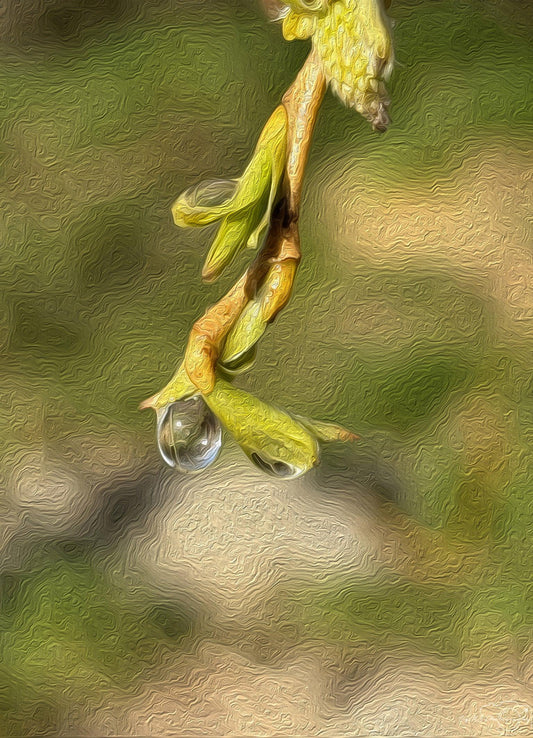 Digital Oil Painting - Superb Droplet V236