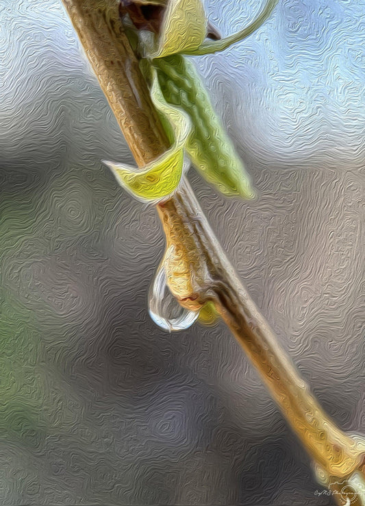 Digital Oil Painting - Superb Droplet V237