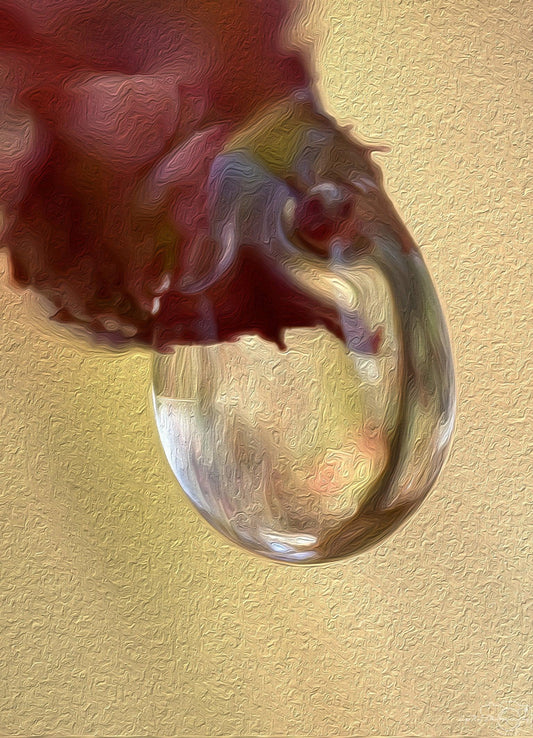 Digital Oil Painting - Superb Droplet V241