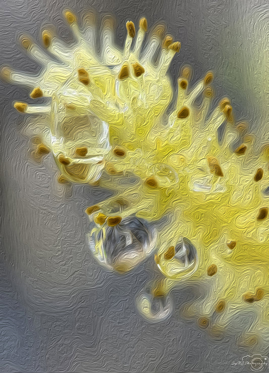 Digital Oil Painting - Superb Droplet V243