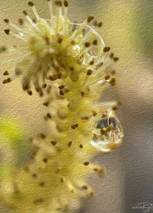 Digital Oil Painting - Superb Droplet V244