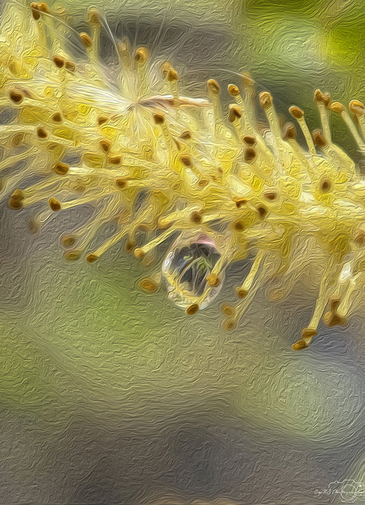 Digital Oil Painting - Superb Droplet V245
