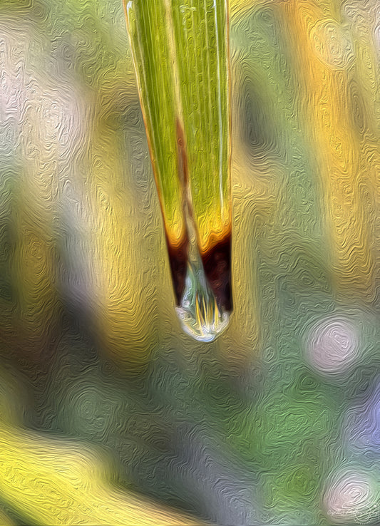 Digital Oil Painting - Superb Droplet V248