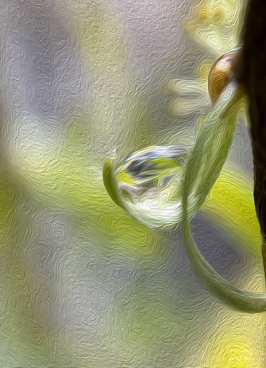 Digital Oil Painting - Superb Droplet V252