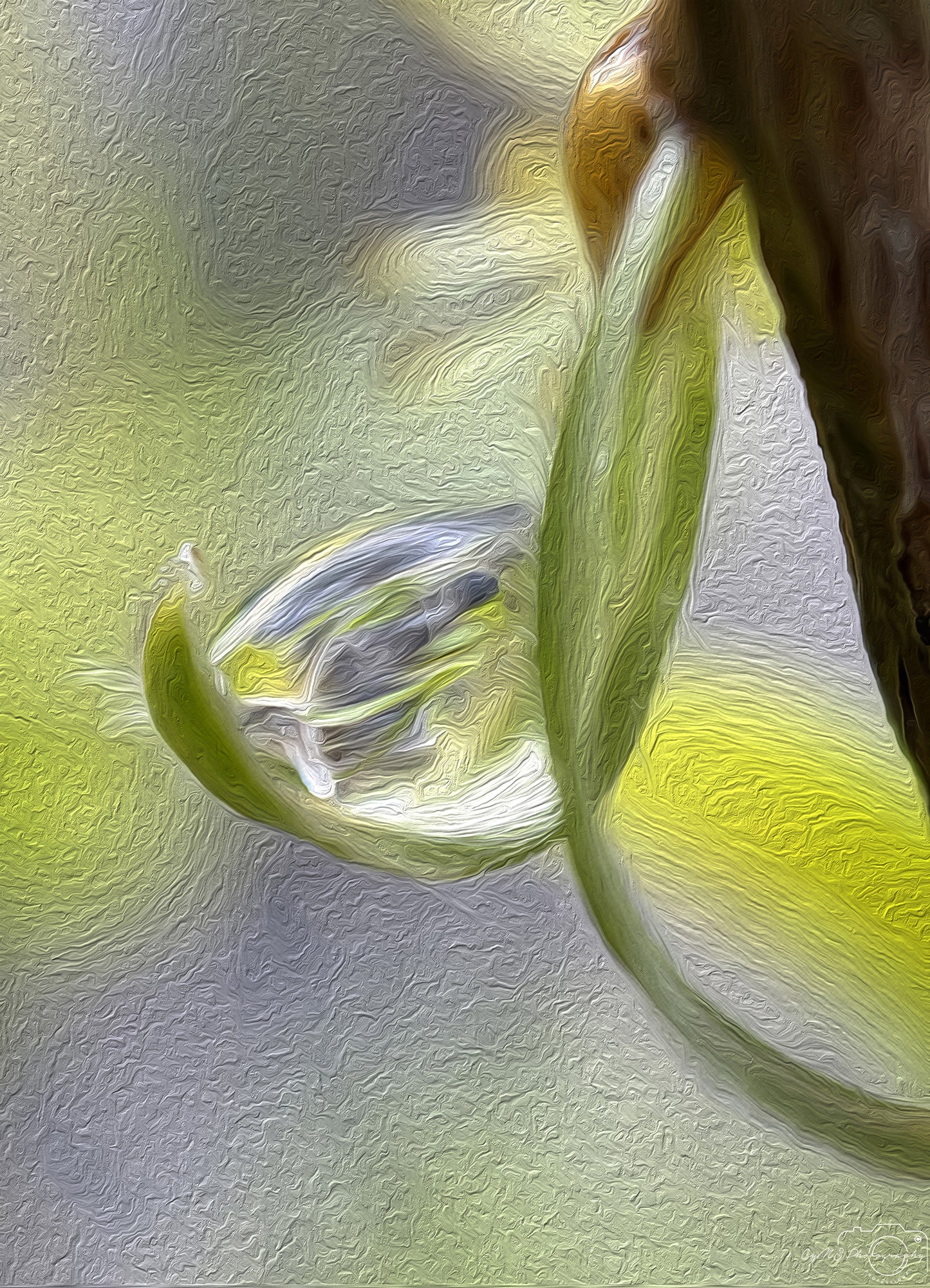 Beautiful water drop_V253_oil painting
