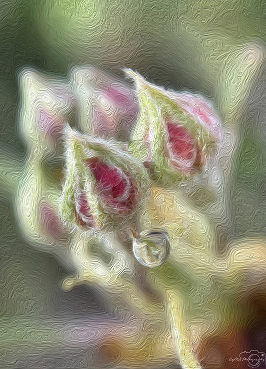 Digital Oil Painting - Superb Droplet V254