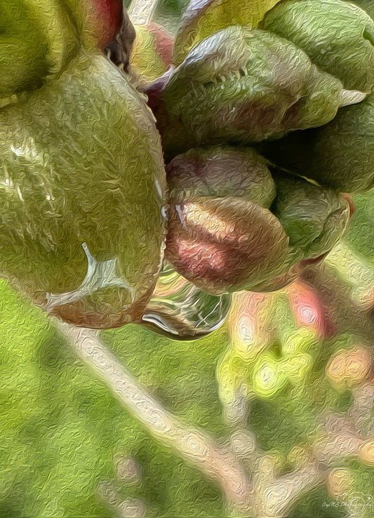 Digital Oil Painting - Superb Droplet V258
