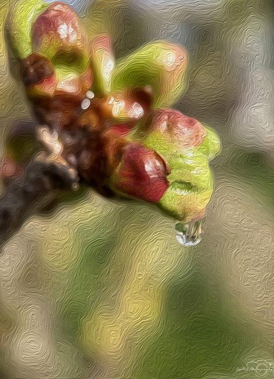 Digital Oil Painting - Superb Droplet V259