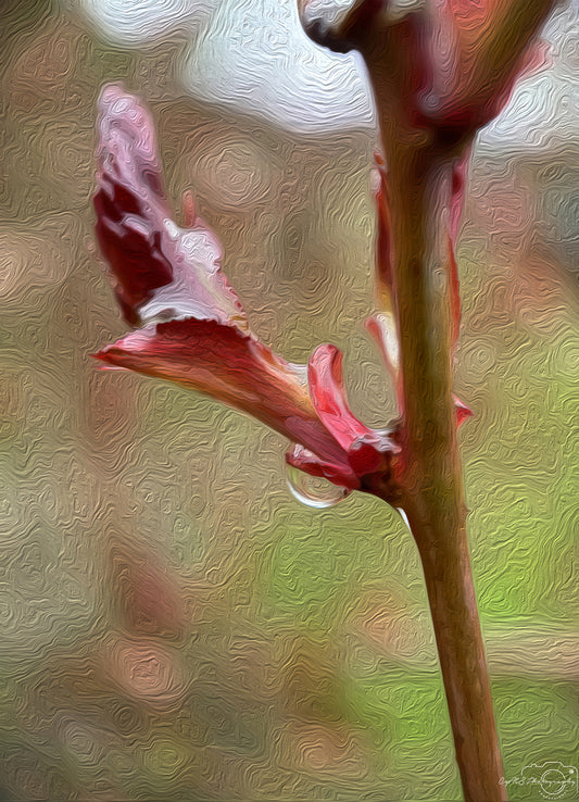 Digital Oil Painting - Superb Droplet V260