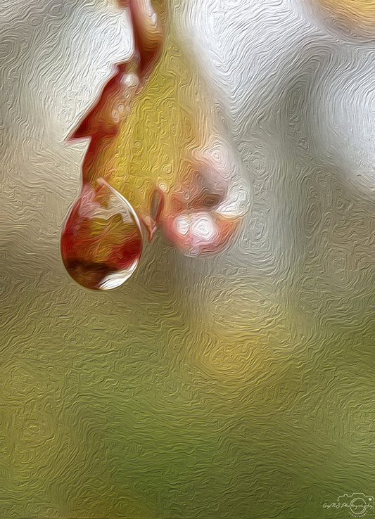 Digital Oil Painting - Superb Droplet V263