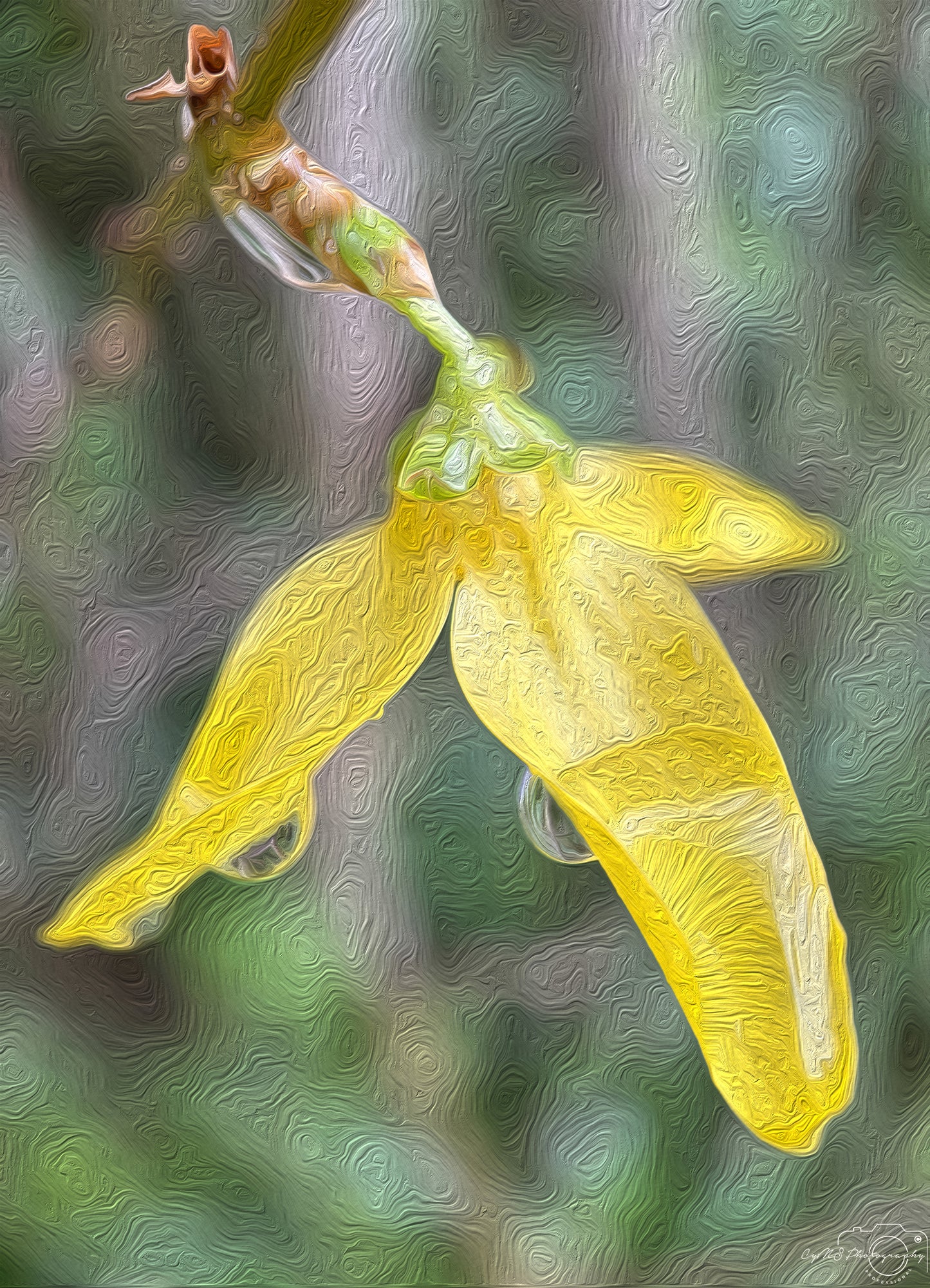 Beautiful water drop_V270_oil painting