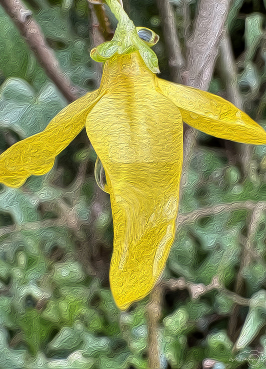 Digital Oil Painting - Superb Droplet V271