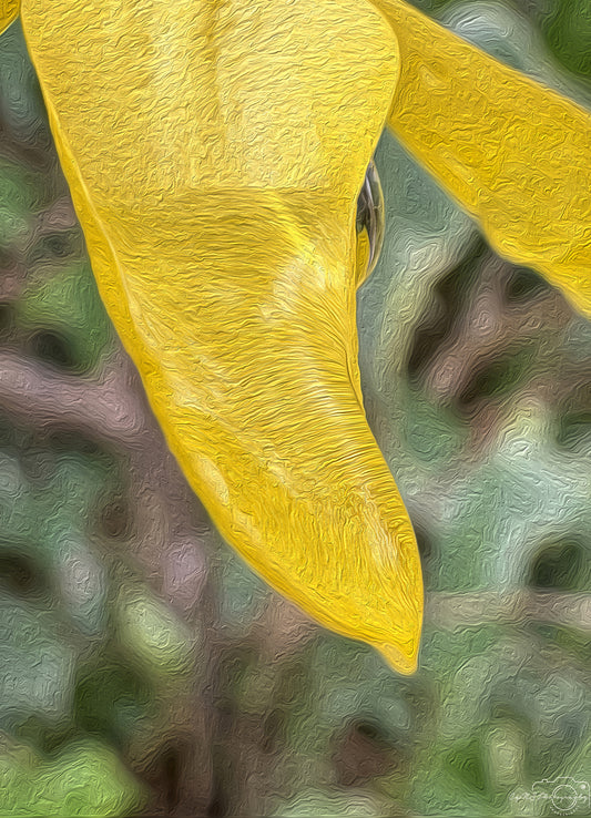 Digital Oil Painting - Superb Droplet V272