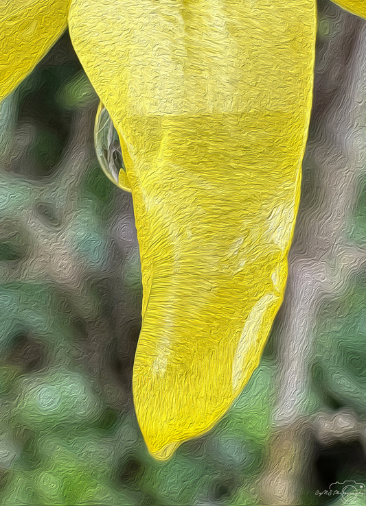 Digital Oil Painting - Superb Droplet V273
