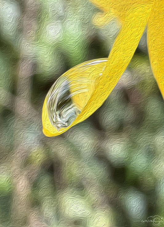 Digital Oil Painting - Superb Droplet V276