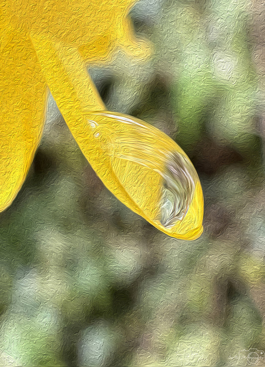 Digital Oil Painting - Superb Droplet V277