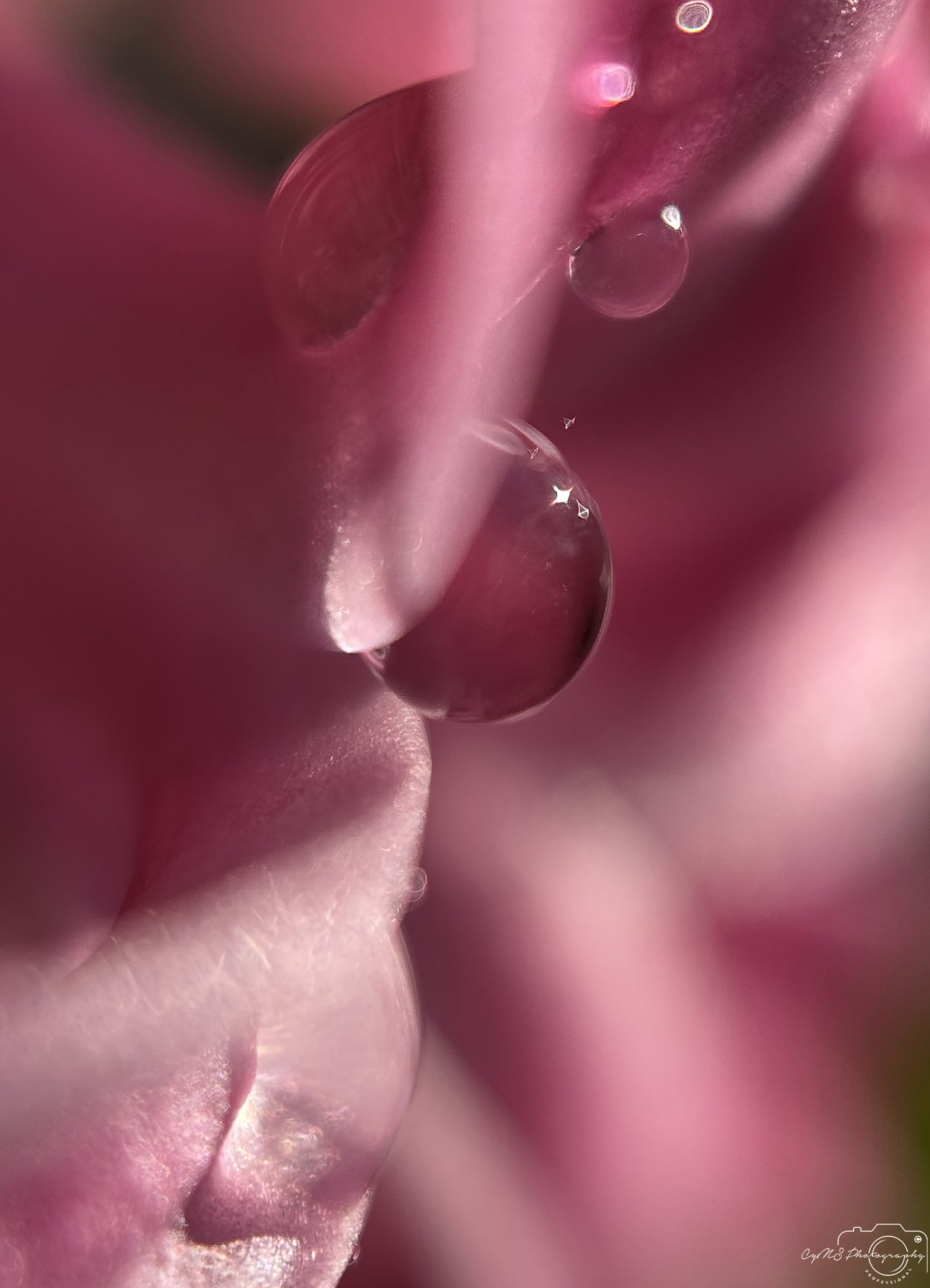 Beautiful water drop_V282
