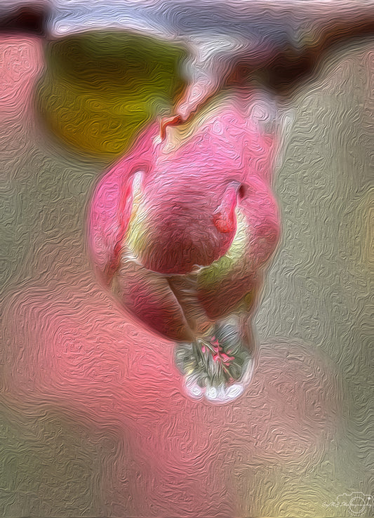 Digital Oil Painting - Superb Droplet V288