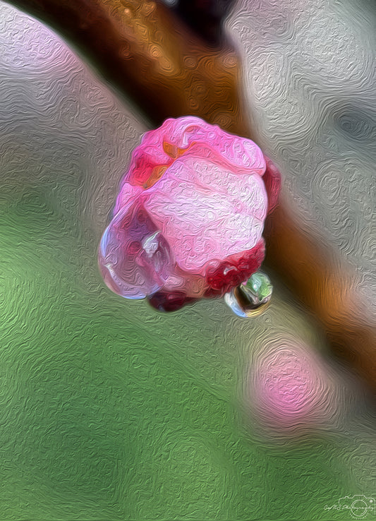 Digital Oil Painting - Superb Droplet V290