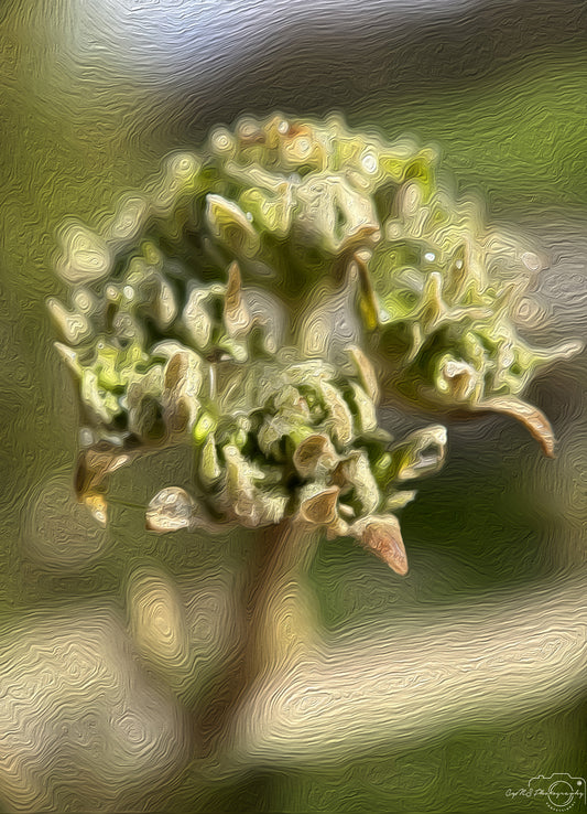 Digital Oil Painting - Superb Droplet V294