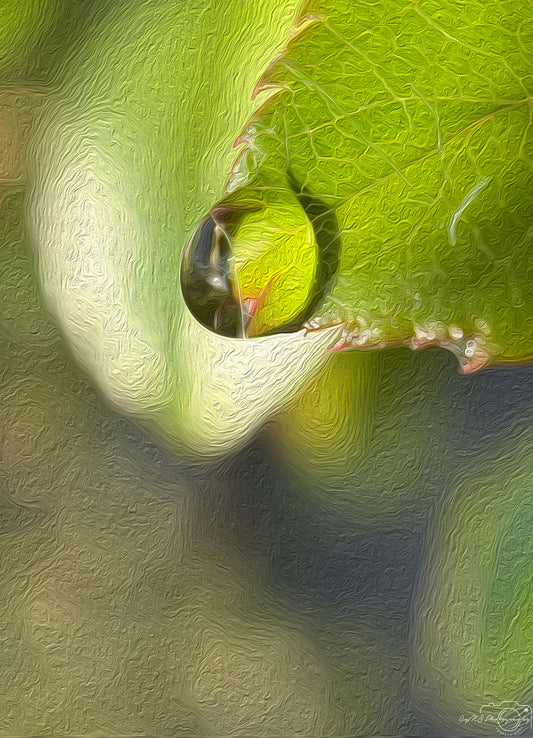 Digital Oil Painting - Superb Droplet V295