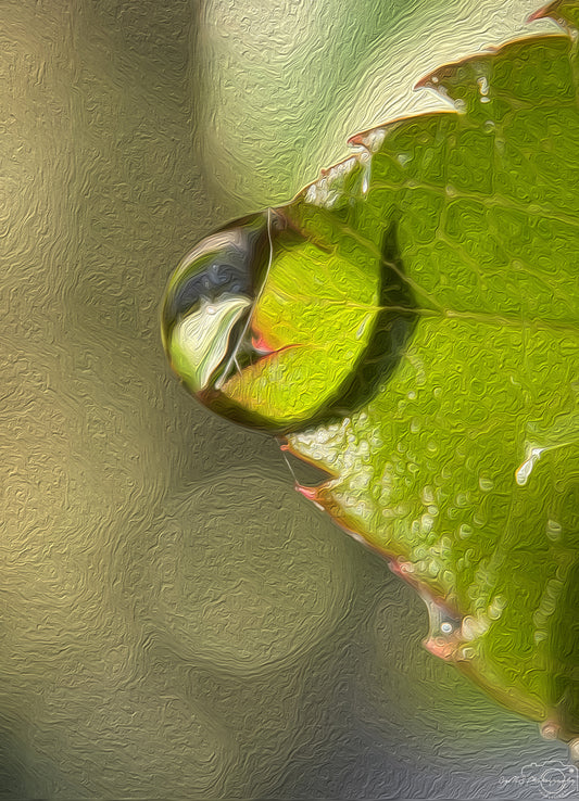 Digital Oil Painting - Superb Droplet V296