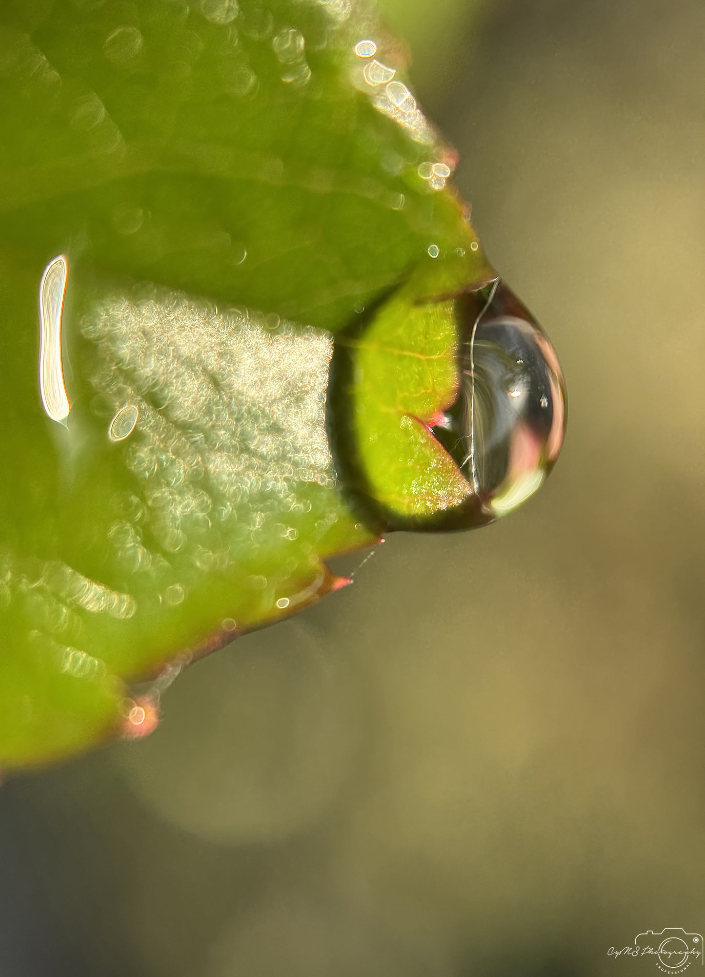 Beautiful water drop_V297