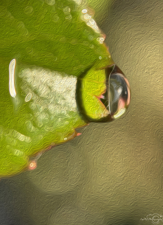 Digital Oil Painting - Superb Droplet V297